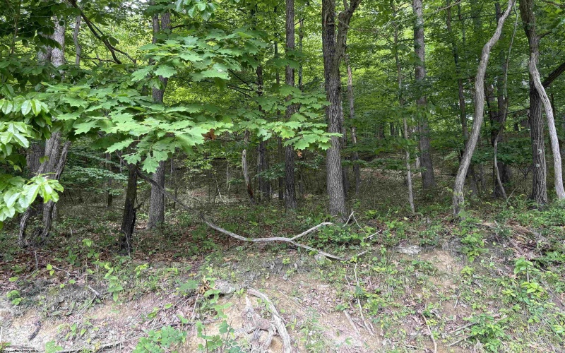 TBD Halleck Road, Morgantown, West Virginia 26508, 0 , 0 ,0,Lots/land,For Sale,Halleck,0,10158732