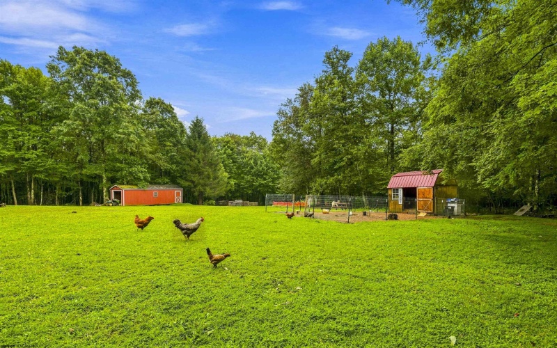 1366 Deer Haven Road, Bruceton Mills, West Virginia 26525, 3 Bedrooms Bedrooms, 5 Rooms Rooms,1 BathroomBathrooms,Single Family Detached,For Sale,Deer Haven,0,10166405