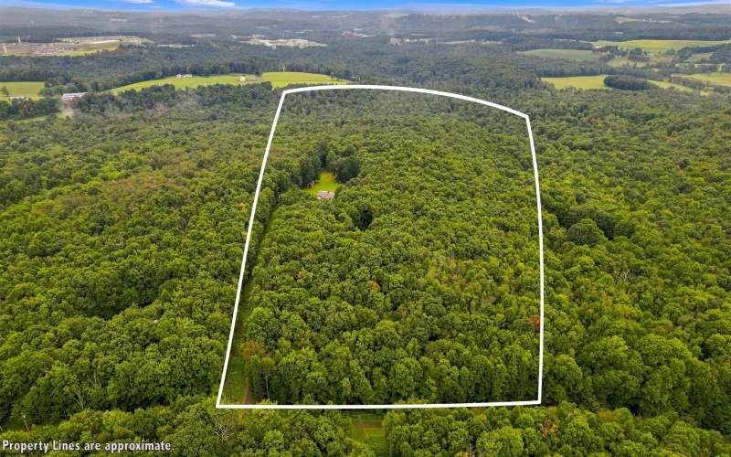 1366 Deer Haven Road, Bruceton Mills, West Virginia 26525, 3 Bedrooms Bedrooms, 5 Rooms Rooms,1 BathroomBathrooms,Single Family Detached,For Sale,Deer Haven,0,10166405