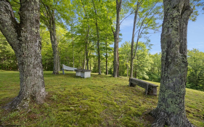 4038 Abbott Road, French Creek, West Virginia 26218, 3 Bedrooms Bedrooms, 7 Rooms Rooms,1 BathroomBathrooms,Single Family Detached,For Sale,Abbott,0,10165289 4038 Abbott Road, French Creek, West Virginia 26218, 3 Bedrooms Bedrooms, 7 Rooms Rooms,1 BathroomBathrooms,Single Family Detached,For Sale,Abbott,0,10165289