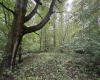 00 Copley Road, Weston, West Virginia 26452, 0 , 0 ,0,Lots/land,For Sale,Copley,0,10166419