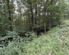 00 Copley Road, Weston, West Virginia 26452, 0 , 0 ,0,Lots/land,For Sale,Copley,0,10166419