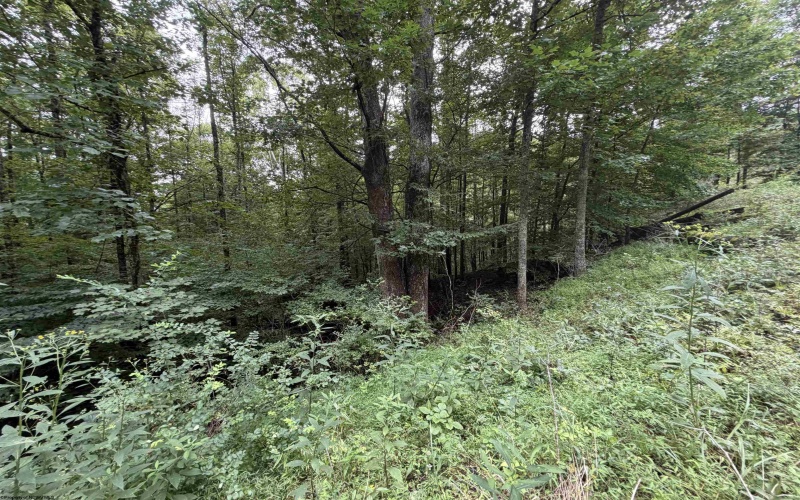 00 Copley Road, Weston, West Virginia 26452, 0 , 0 ,0,Lots/land,For Sale,Copley,0,10166419