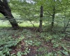 00 Copley Road, Weston, West Virginia 26452, 0 , 0 ,0,Lots/land,For Sale,Copley,0,10166419