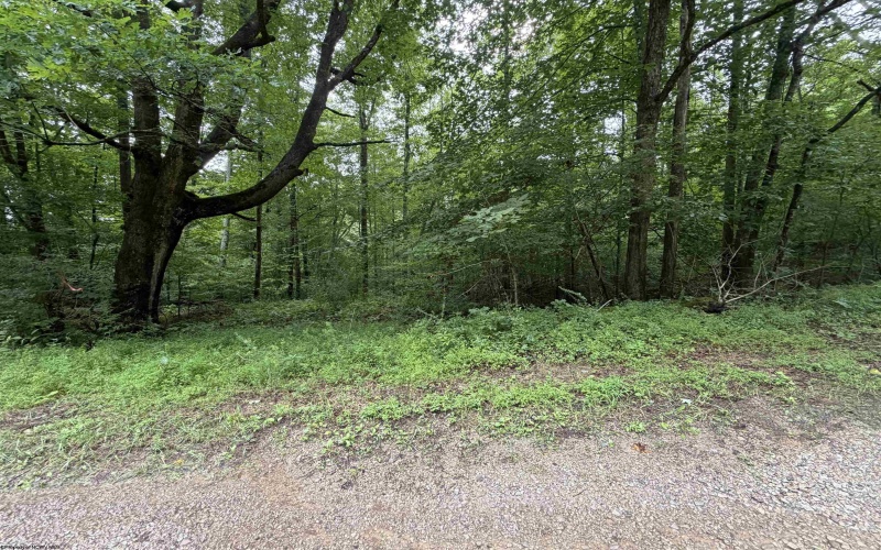 00 Copley Road, Weston, West Virginia 26452, 0 , 0 ,0,Lots/land,For Sale,Copley,0,10166419