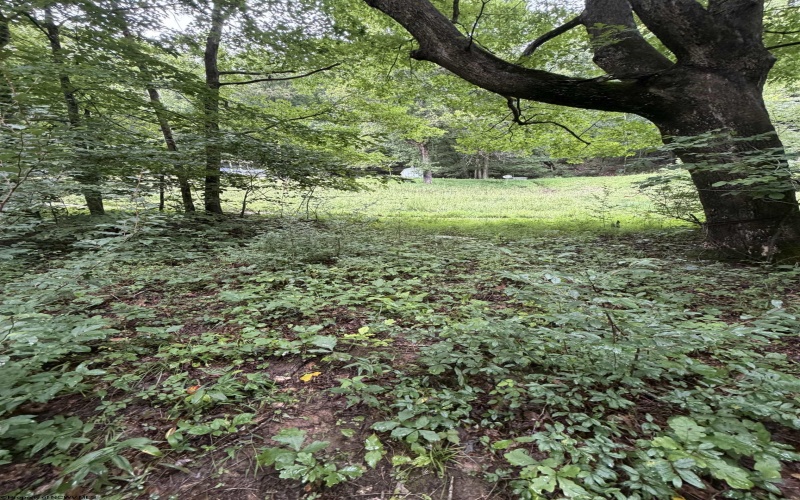 00 Copley Road, Weston, West Virginia 26452, 0 , 0 ,0,Lots/land,For Sale,Copley,0,10166419
