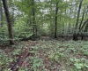 00 Copley Road, Weston, West Virginia 26452, 0 , 0 ,0,Lots/land,For Sale,Copley,0,10166419