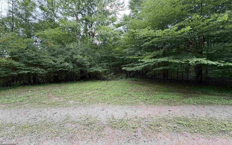 00 Copley Road, Weston, West Virginia 26452, 0 , 0 ,0,Lots/land,For Sale,Copley,0,10166419