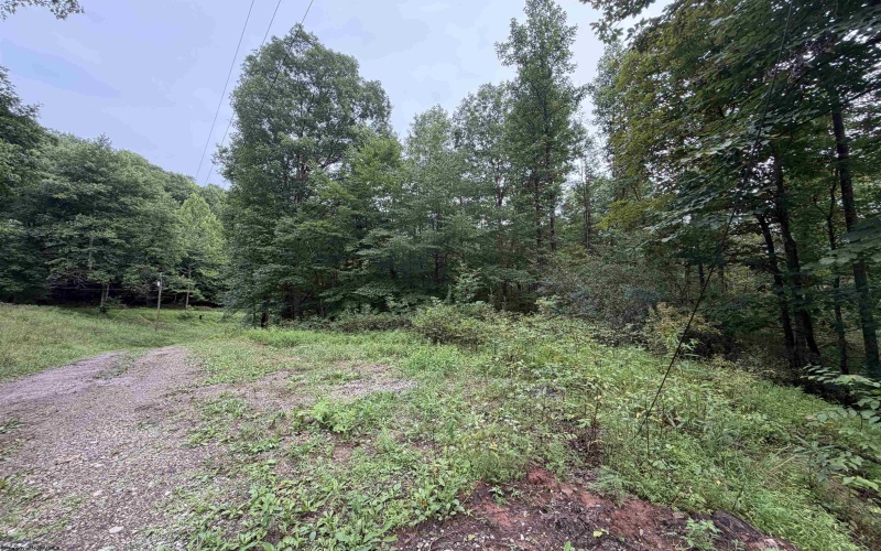 00 Copley Road, Weston, West Virginia 26452, 0 , 0 ,0,Lots/land,For Sale,Copley,0,10166419