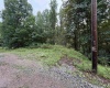 00 Copley Road, Weston, West Virginia 26452, 0 , 0 ,0,Lots/land,For Sale,Copley,0,10166419