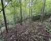00 Copley Road, Weston, West Virginia 26452, 0 , 0 ,0,Lots/land,For Sale,Copley,0,10166419
