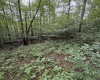 00 Copley Road, Weston, West Virginia 26452, 0 , 0 ,0,Lots/land,For Sale,Copley,0,10166419