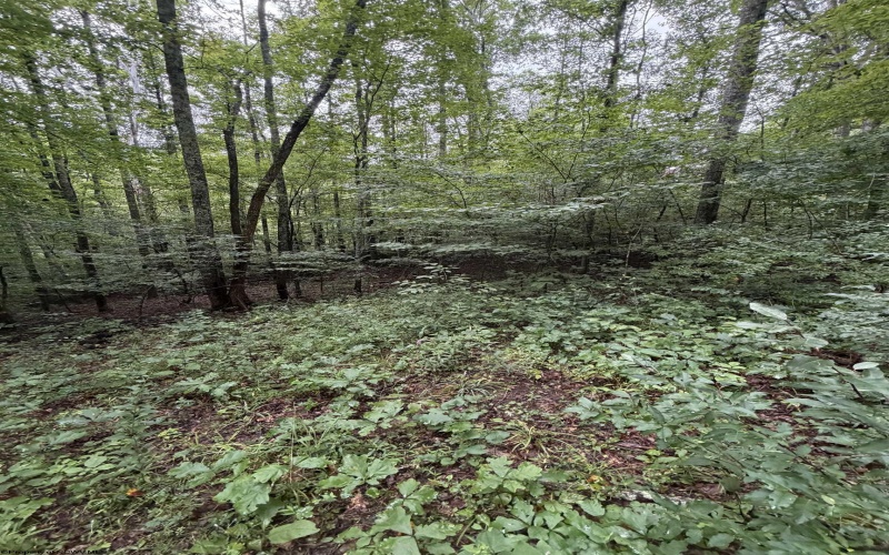 00 Copley Road, Weston, West Virginia 26452, 0 , 0 ,0,Lots/land,For Sale,Copley,0,10166419