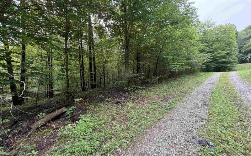 00 Copley Road, Weston, West Virginia 26452, 0 , 0 ,0,Lots/land,For Sale,Copley,0,10166419