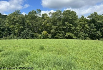 5 Long Run/Cubana Road, Tallmansville, West Virginia 26237, 0 , 0 ,0,Lots/land,For Sale,Long Run/Cubana,0,10166427