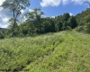 5 Long Run/Cubana Road, Tallmansville, West Virginia 26237, 0 , 0 ,0,Lots/land,For Sale,Long Run/Cubana,0,10166427