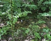 5 Long Run/Cubana Road, Tallmansville, West Virginia 26237, 0 , 0 ,0,Lots/land,For Sale,Long Run/Cubana,0,10166427