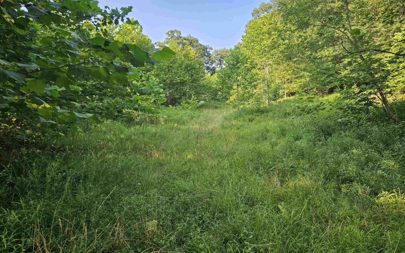 1 Westminster Drive, Morgantown, West Virginia 26505, 0 , 0 ,0,Lots/land,For Sale,Westminster,0,10160999