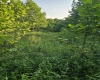 1 Westminster Drive, Morgantown, West Virginia 26505, 0 , 0 ,0,Lots/land,For Sale,Westminster,0,10160999