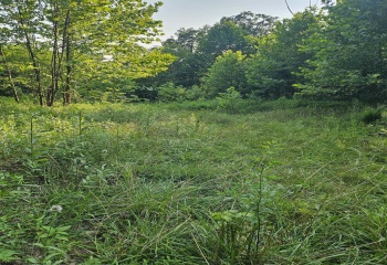 #2 Westminster Drive, Morgantown, West Virginia 26505, 0 , 0 ,0,Lots/land,For Sale,Westminster,0,10161000