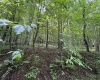 96 Donnie Hill Road, Belington, West Virginia 26250, 0 , 0 ,0,Lots/land,For Sale,Donnie Hill,0,10166450