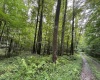 96 Donnie Hill Road, Belington, West Virginia 26250, 0 , 0 ,0,Lots/land,For Sale,Donnie Hill,0,10166450