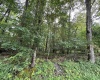 96 Donnie Hill Road, Belington, West Virginia 26250, 0 , 0 ,0,Lots/land,For Sale,Donnie Hill,0,10166450
