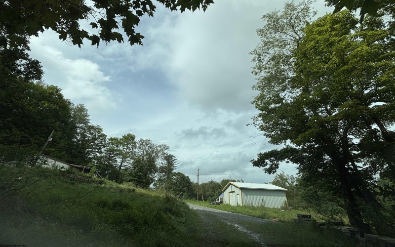 96 Donnie Hill Road, Belington, West Virginia 26250, 0 , 0 ,0,Lots/land,For Sale,Donnie Hill,0,10166450