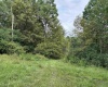 96 Donnie Hill Road, Belington, West Virginia 26250, 0 , 0 ,0,Lots/land,For Sale,Donnie Hill,0,10166450