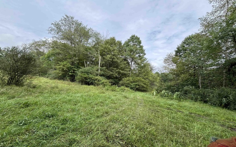 96 Donnie Hill Road, Belington, West Virginia 26250, 0 , 0 ,0,Lots/land,For Sale,Donnie Hill,0,10166450
