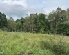 96 Donnie Hill Road, Belington, West Virginia 26250, 0 , 0 ,0,Lots/land,For Sale,Donnie Hill,0,10166450