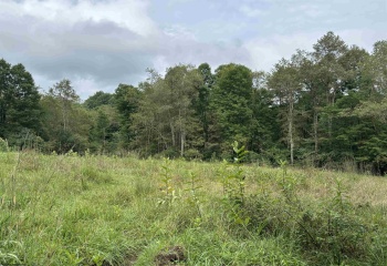 96 Donnie Hill Road, Belington, West Virginia 26250, 0 , 0 ,0,Lots/land,For Sale,Donnie Hill,0,10166450