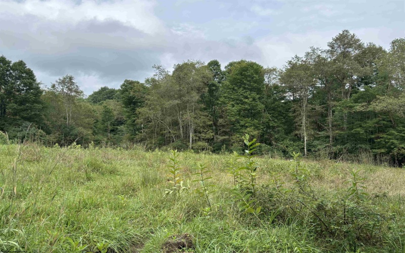 96 Donnie Hill Road, Belington, West Virginia 26250, 0 , 0 ,0,Lots/land,For Sale,Donnie Hill,0,10166450