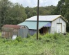 96 Donnie Hill Road, Belington, West Virginia 26250, 0 , 0 ,0,Lots/land,For Sale,Donnie Hill,0,10166450