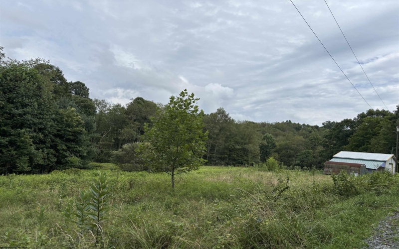 96 Donnie Hill Road, Belington, West Virginia 26250, 0 , 0 ,0,Lots/land,For Sale,Donnie Hill,0,10166450