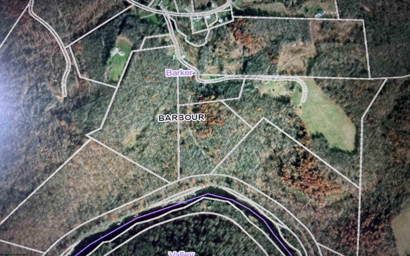 96 Donnie Hill Road, Belington, West Virginia 26250, 0 , 0 ,0,Lots/land,For Sale,Donnie Hill,0,10166450