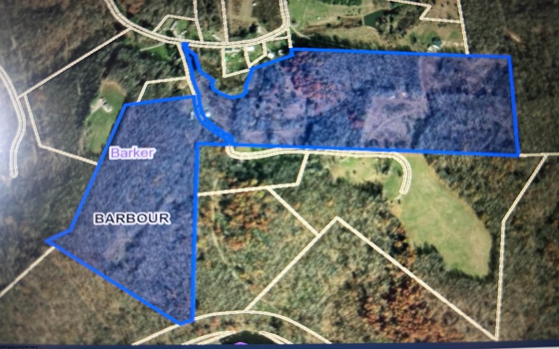 96 Donnie Hill Road, Belington, West Virginia 26250, 0 , 0 ,0,Lots/land,For Sale,Donnie Hill,0,10166450