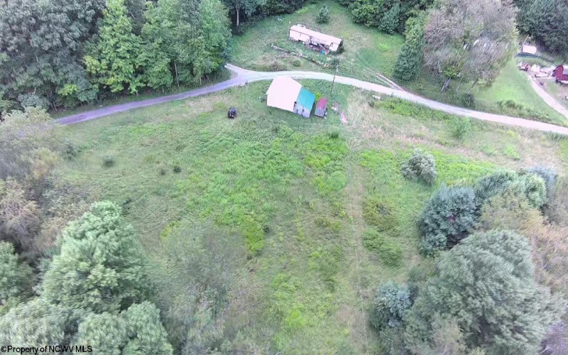 96 Donnie Hill Road, Belington, West Virginia 26250, 0 , 0 ,0,Lots/land,For Sale,Donnie Hill,0,10166450