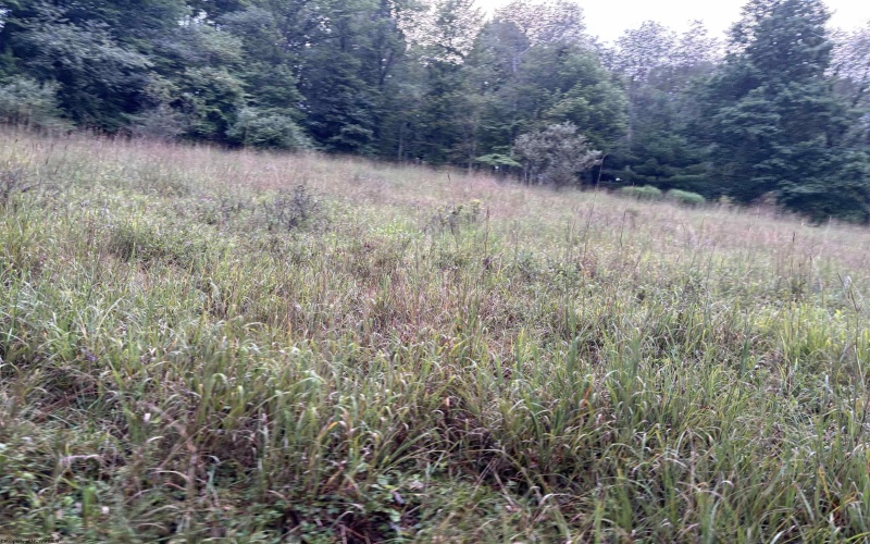 96 Donnie Hill Road, Belington, West Virginia 26250, 0 , 0 ,0,Lots/land,For Sale,Donnie Hill,0,10166450