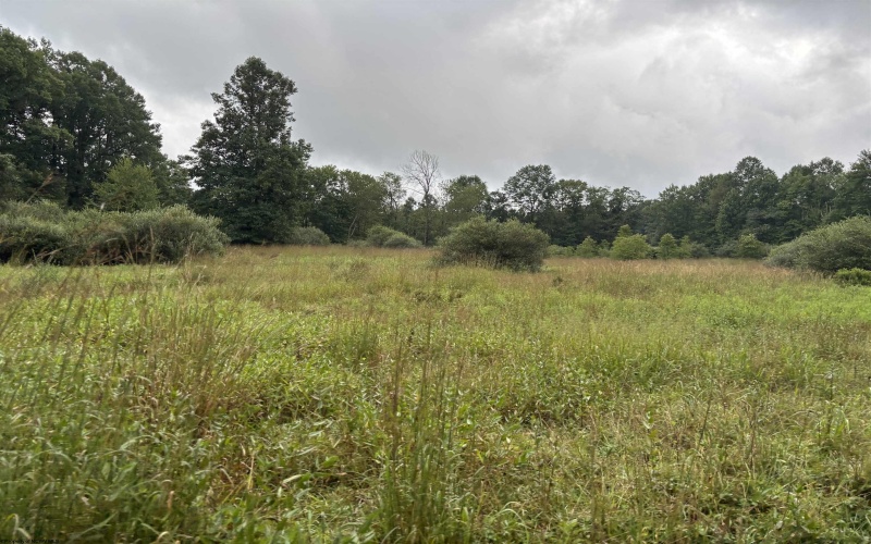 96 Donnie Hill Road, Belington, West Virginia 26250, 0 , 0 ,0,Lots/land,For Sale,Donnie Hill,0,10166450