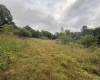 96 Donnie Hill Road, Belington, West Virginia 26250, 0 , 0 ,0,Lots/land,For Sale,Donnie Hill,0,10166450