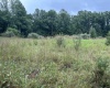 96 Donnie Hill Road, Belington, West Virginia 26250, 0 , 0 ,0,Lots/land,For Sale,Donnie Hill,0,10166450