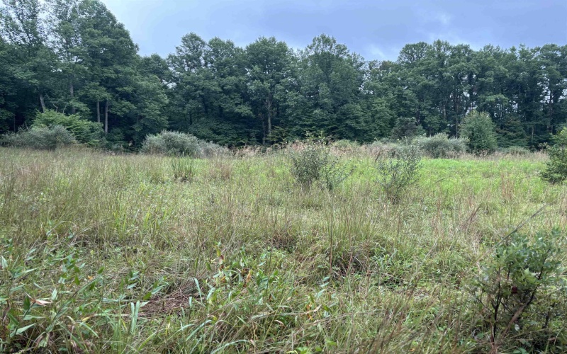 96 Donnie Hill Road, Belington, West Virginia 26250, 0 , 0 ,0,Lots/land,For Sale,Donnie Hill,0,10166450