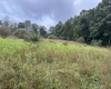 96 Donnie Hill Road, Belington, West Virginia 26250, 0 , 0 ,0,Lots/land,For Sale,Donnie Hill,0,10166450