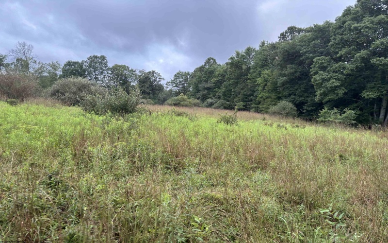 96 Donnie Hill Road, Belington, West Virginia 26250, 0 , 0 ,0,Lots/land,For Sale,Donnie Hill,0,10166450