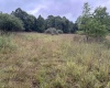 96 Donnie Hill Road, Belington, West Virginia 26250, 0 , 0 ,0,Lots/land,For Sale,Donnie Hill,0,10166450