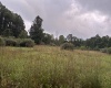 96 Donnie Hill Road, Belington, West Virginia 26250, 0 , 0 ,0,Lots/land,For Sale,Donnie Hill,0,10166450