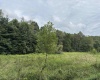 96 Donnie Hill Road, Belington, West Virginia 26250, 0 , 0 ,0,Lots/land,For Sale,Donnie Hill,0,10166450