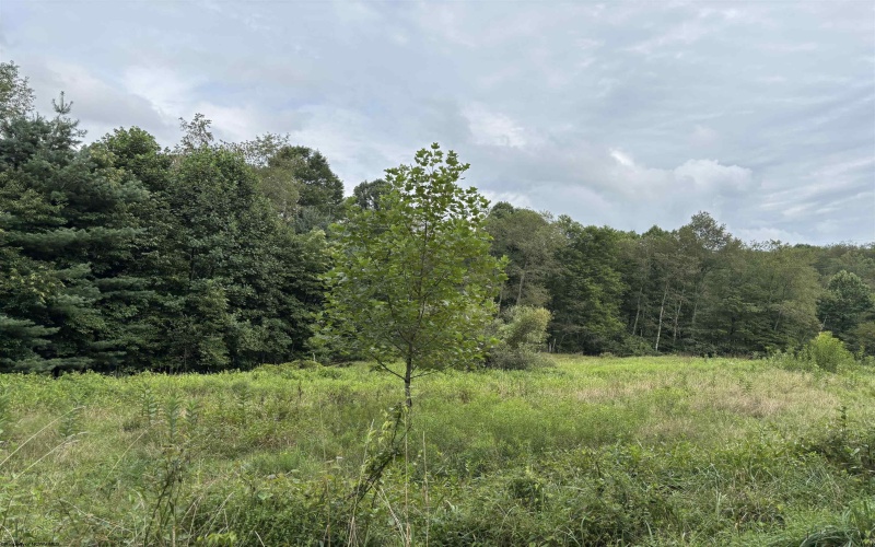 96 Donnie Hill Road, Belington, West Virginia 26250, 0 , 0 ,0,Lots/land,For Sale,Donnie Hill,0,10166450