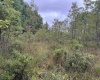 96 Donnie Hill Road, Belington, West Virginia 26250, 0 , 0 ,0,Lots/land,For Sale,Donnie Hill,0,10166450